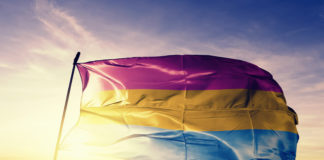 Pansexual Flag