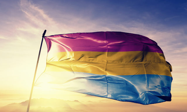 Pansexual Flag